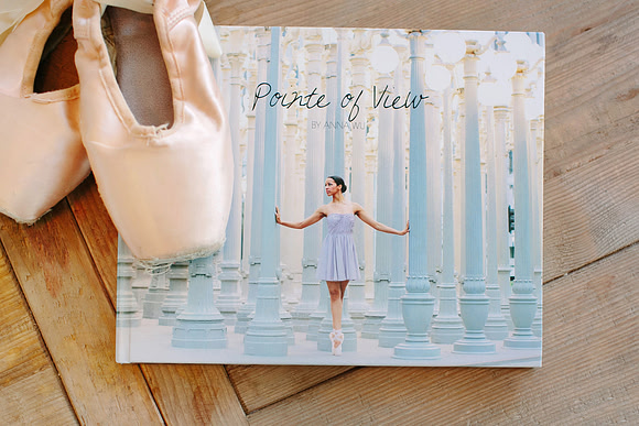 THE POINTE OF VIEW BOOK