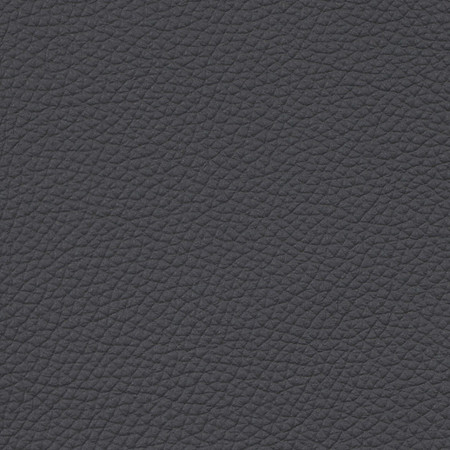 LEATHER: Gunmetal