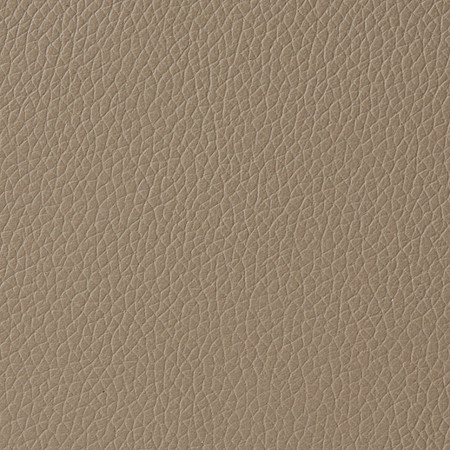 LEATHER: Sand