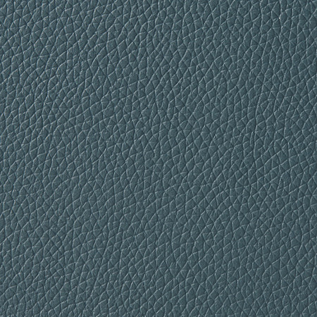 LEATHER: Pagoda