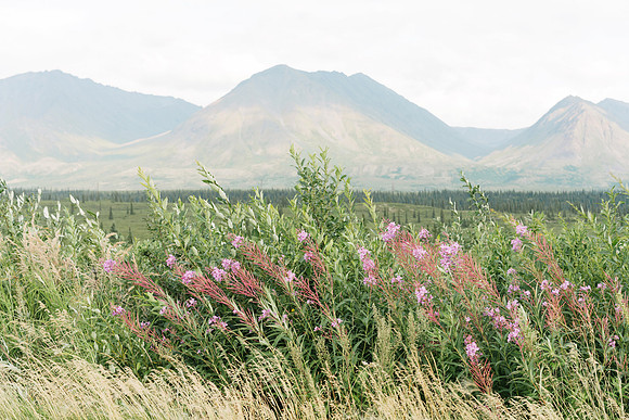 Alaska