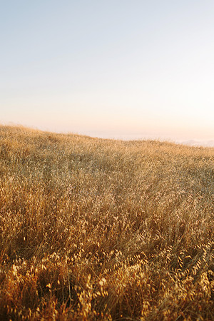 Mt. Tamalpais, California