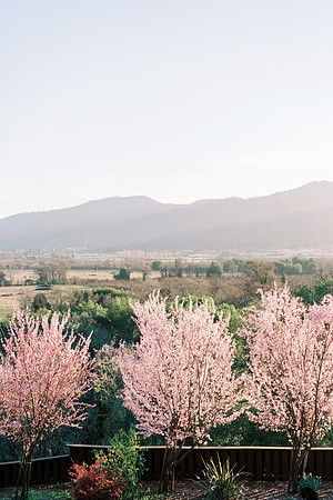 Ukiah, California
