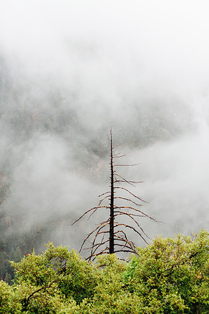 Yosemite