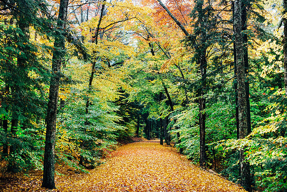 Acadia National Park, Maine