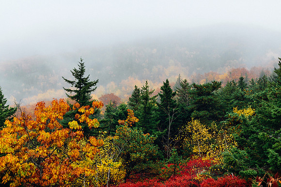 Maine