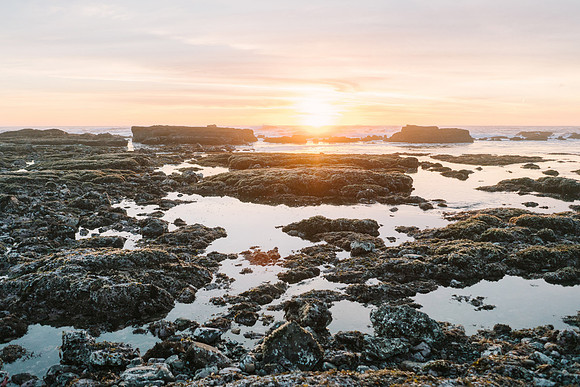 Tide Pools
